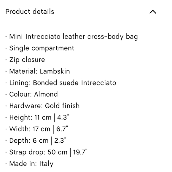 NWT Bottega Veneta Mini Loop bag - Picture 16 of 16